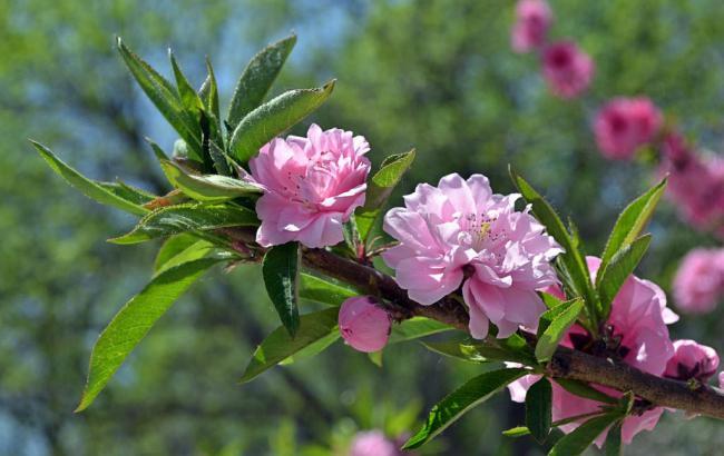 花垣县天气预报_花垣县天气预报7天