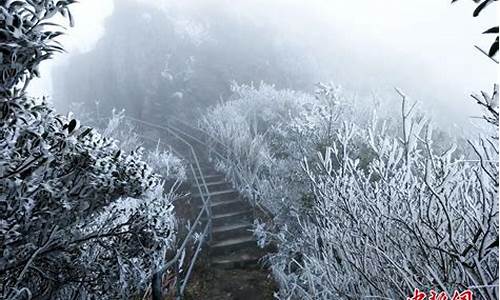 金子山天气预报_金子山天气预报七天