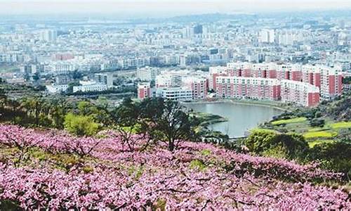 龙泉驿区天气_龙泉驿区天气预报