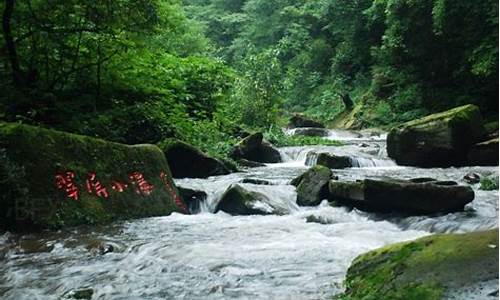 雅安碧峰峡门票多少钱_雅安碧峰峡门票多少钱一张