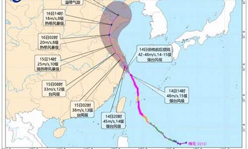 2022年台风全年预测_2021.台风