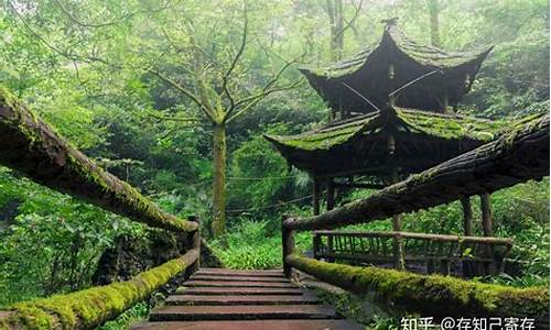 青城山旅游攻略一日游_青城山旅游攻略一日游最佳路线